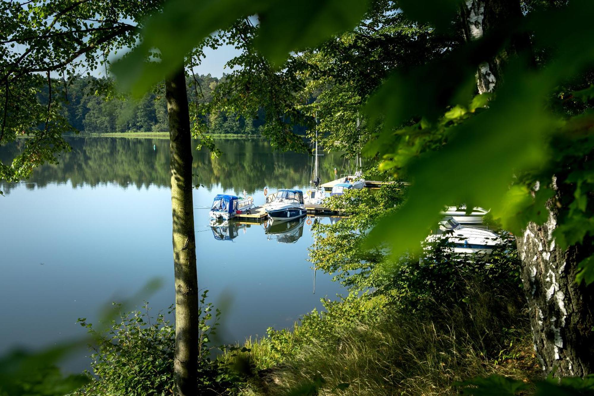 Ruciane Park - Mazury Resort & Spa Oda fotoğraf